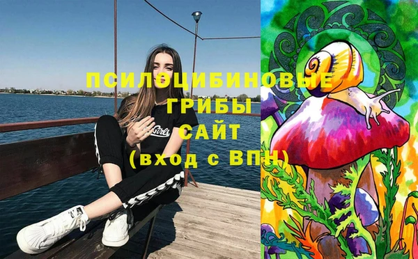 ГАЛЛЮЦИНОГЕННЫЕ ГРИБЫ Бородино